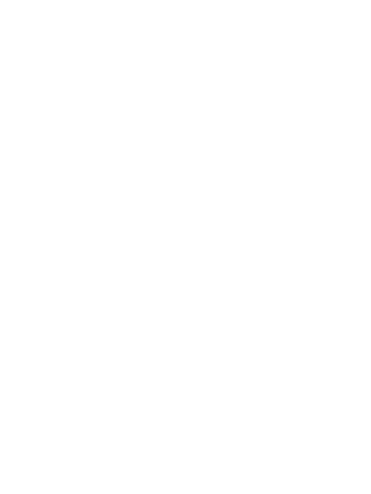 Natural Language Processing (NLP)
